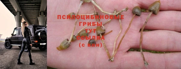 спиды Алексин