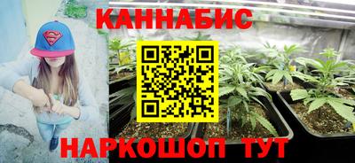 МДПВ Дубна