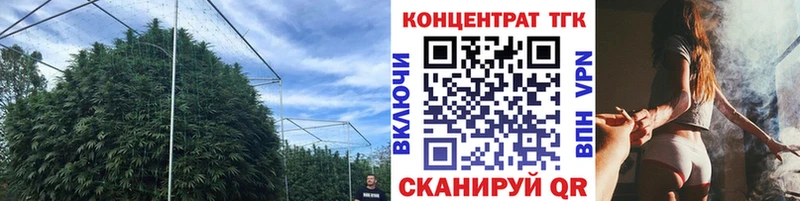 купить закладку  KRAKEN tor  Дистиллят ТГК жижа  Нефтекумск 