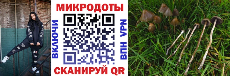 Псилоцибиновые грибы MAGIC MUSHROOMS  Нефтекумск 