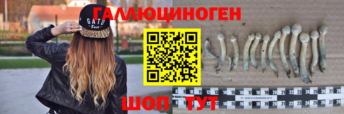 Псилоцибиновые грибы мухоморы Нефтекумск