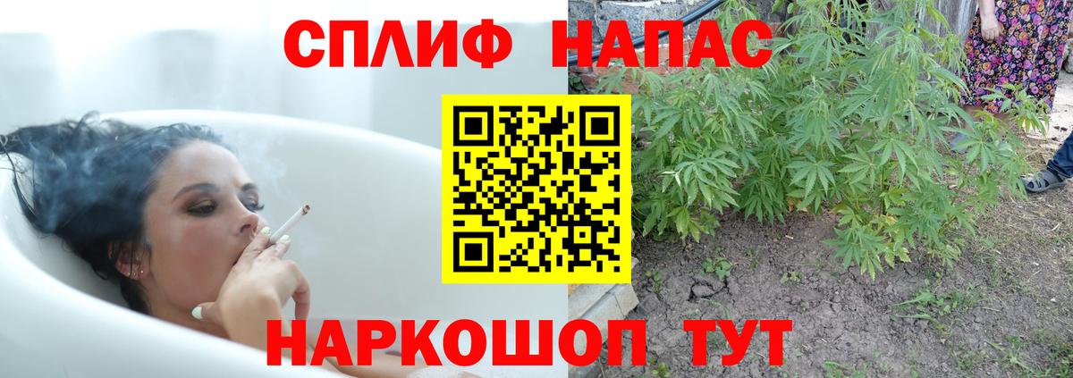 Бошки марихуана MAZAR  Вход с VPN  Нефтекумск  Канабис ГИДРОПОН  МАРИХУАНА семена 